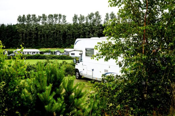 Albertinelund Camping-02296 (Medium) (1)