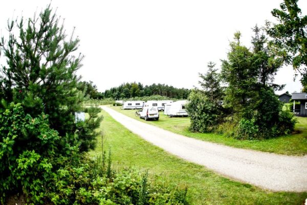 Albertinelund Camping-02400 (Medium)